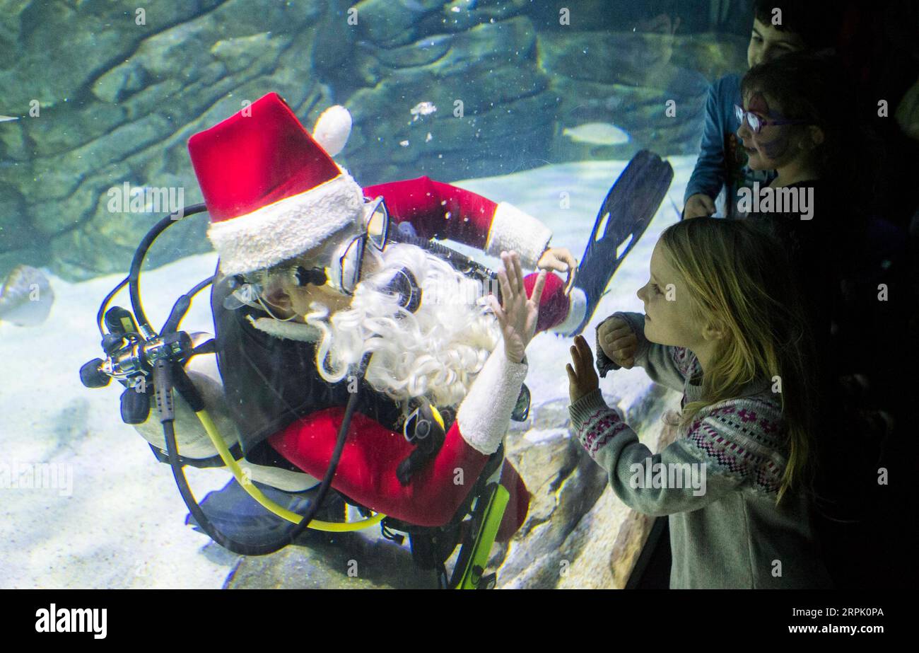 191223 -- TORONTO, 23 dicembre 2019 -- Un subacqueo in costume di Babbo Natale alza la mano per un massimo di cinque con una ragazza mentre nuota in un carro armato durante uno spettacolo natalizio al Ripley S Aquarium of Canada a Toronto, Canada, il 23 dicembre 2019. Foto di /Xinhua CANADA-TORONTO-BABBO NATALE-DIVING ZouxZheng PUBLICATIONxNOTxINxCHN Foto Stock