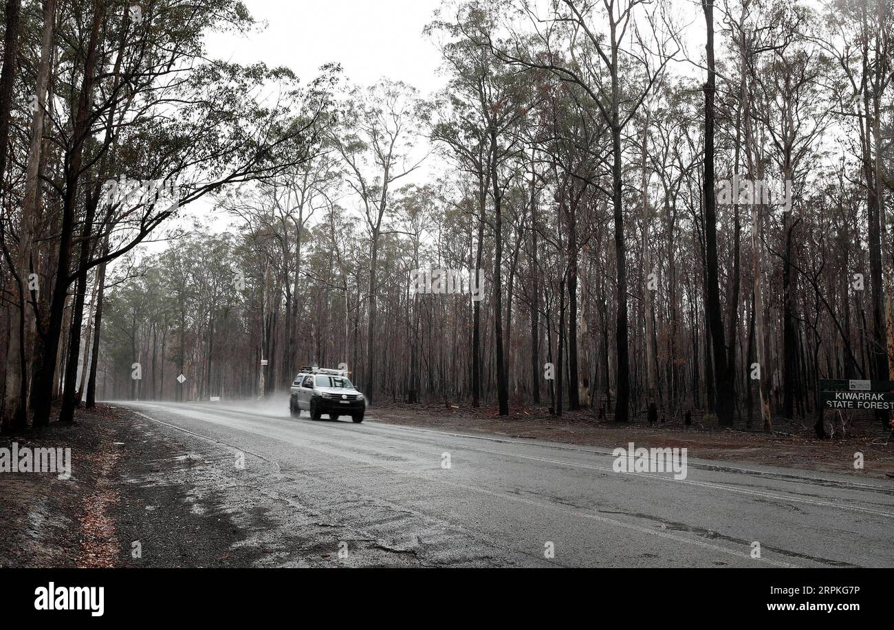 200110 -- SYDNEY, 10 gennaio 2020 -- foto scattata il 9 gennaio 2020 mostra il Bush sotto la pioggia a Taree, nel nuovo Galles del Sud, Australia. La pioggia ha contribuito ad alleviare la siccità che ha colpito questa regione. AUSTRALIA-BUSHFIRE-PIOGGIA BaixXuefei PUBLICATIONxNOTxINxCHN Foto Stock