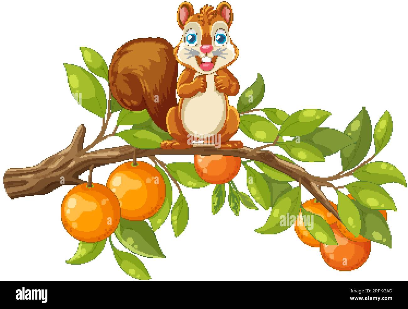 Illustrazione di un cartone animato vettoriale di uno scoiattolo arroccato su un ramo di arancio Illustrazione Vettoriale