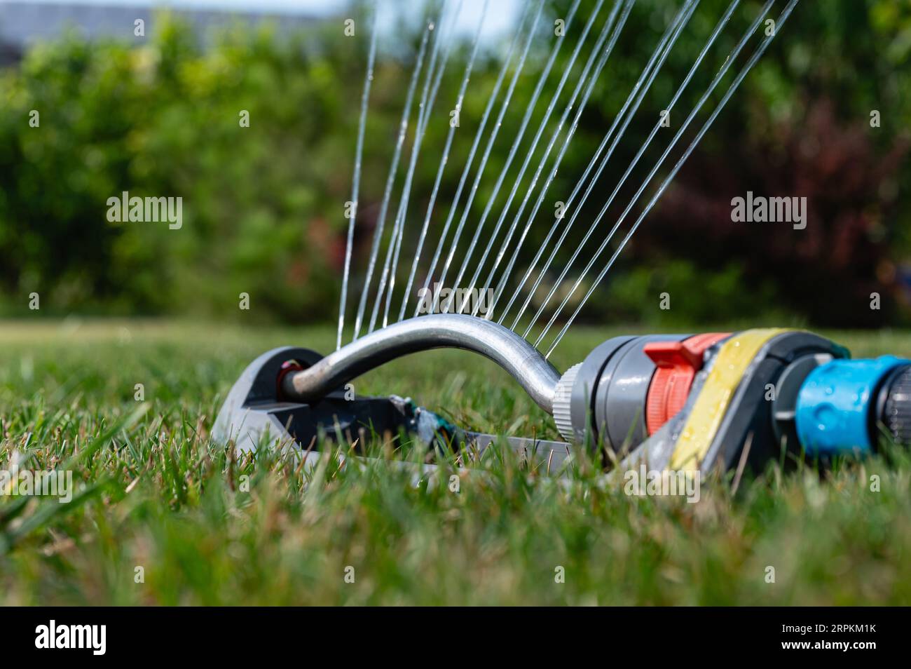 Sistema sprinkler automatico che innaffia il prato su uno sfondo di erba verde. Irrigatore da giardino con spruzzo a tubo e irrigazione di erba verde. Foto Stock