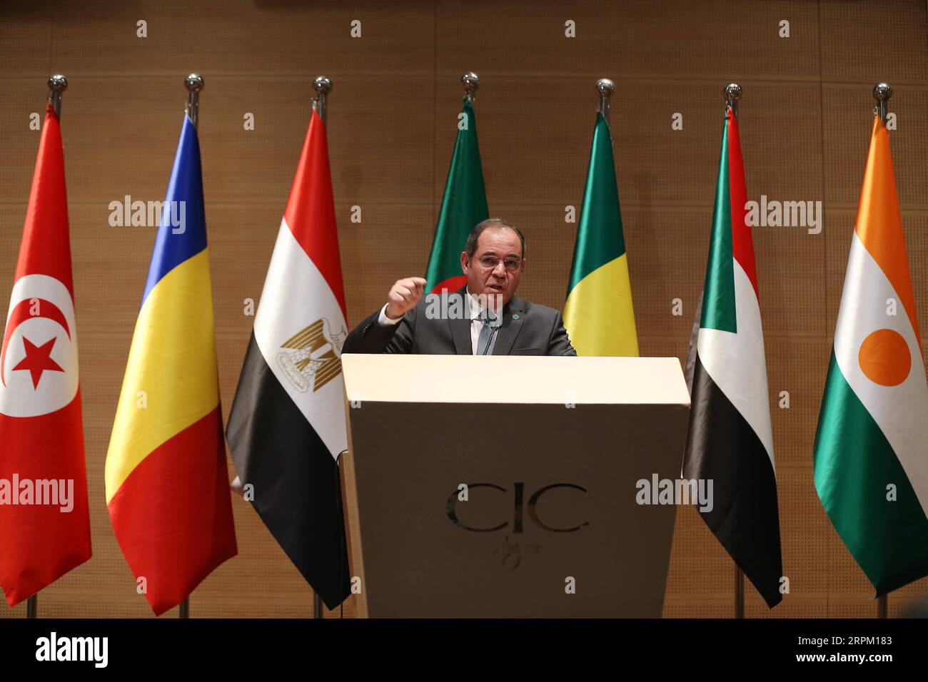 200123 -- ALGERI, 23 gennaio 2020 Xinhua -- il ministro degli Esteri algerino Sabri Boukadoum parla a una conferenza stampa ad Algeri, Algeria, il 23 gennaio 2020. Giovedì, il ministro degli Esteri algerino Sabri Boukadoum ha esortato i partiti libici a rispettare la tregua e l'embargo sulle armi, nonché a riprendere il processo politico. Boukadoum ha fatto le sue osservazioni durante un incontro con i ministri degli Esteri dei vicini libici sugli sviluppi nel paese devastato dalla guerra. XINHUA ALGERIA-ALGERI-LIBIA S NEIGHBORS-FM-MEETING PUBLICATIONXNOTXINXCHN Foto Stock
