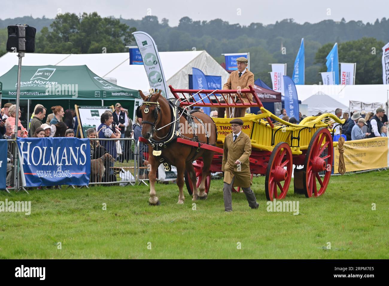 Suffolk Punch che tira un carro Oxford, Moreton in Marsh Show 2023 Foto Stock