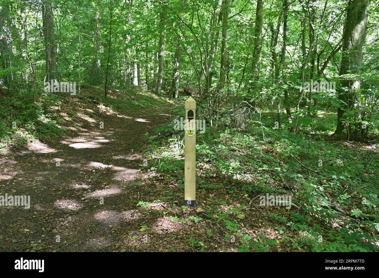 Cartello Cotswold Way sul sentiero a Buckholt Wood vicino a Painswick, Gloucestershire Foto Stock