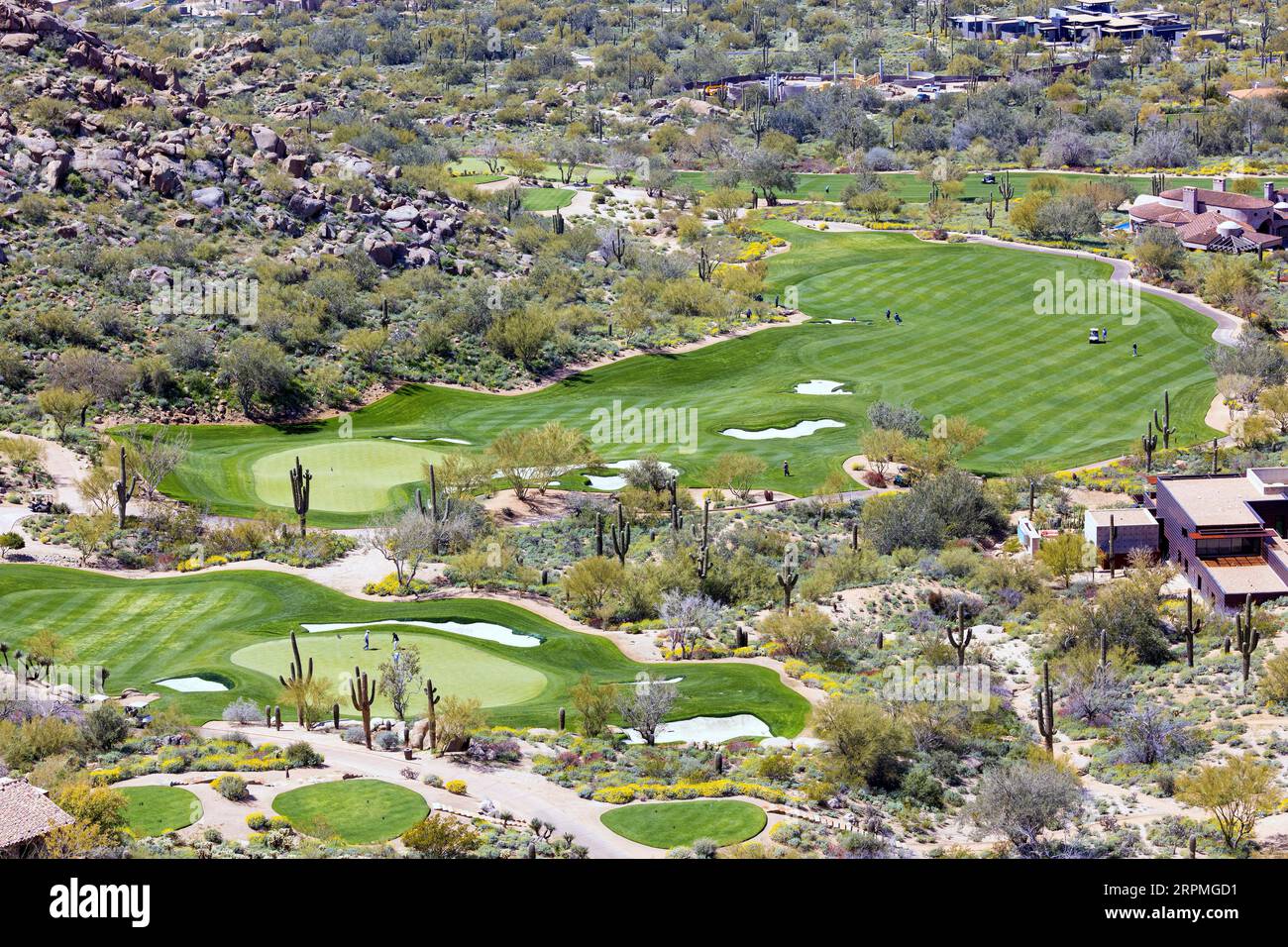 Campo da golf con prato verde nel deserto di Sonora, Stati Uniti, Arizona, Pinnacle Peak, Scottsdale Foto Stock