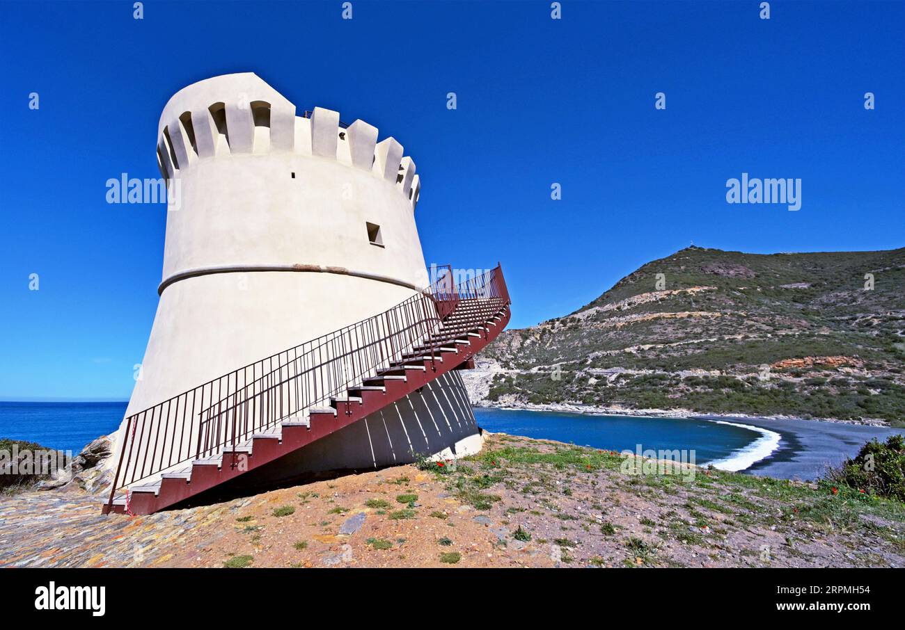 Cap Corse Albo, la torre genovese , Francia, Corsica Foto Stock