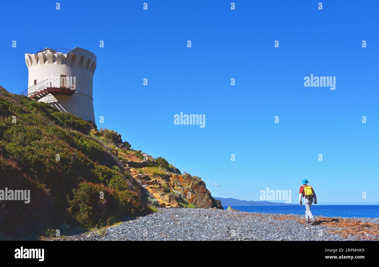 Torre genovese e sentiero lungo la costa che porta a Nonza, Francia, Corsica, Cap Corse Albo Foto Stock