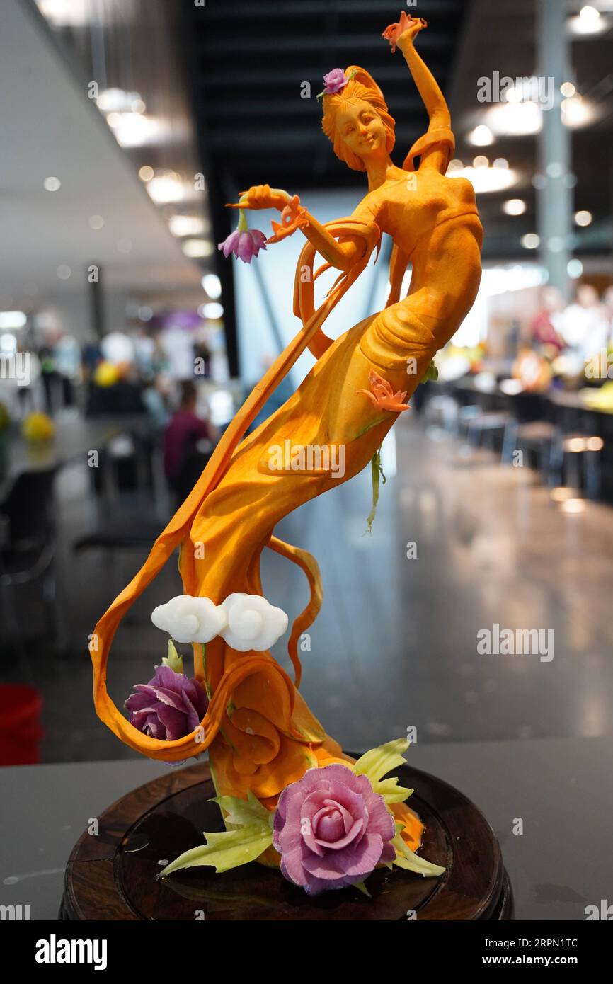 200220 -- STOCCARDA, 20 febbraio 2020 Xinhua -- foto scattata il 18 febbraio 2020 mostra le opere di scultura presentate da Han Xiaohui, un membro della squadra culinaria nazionale cinese, ispirata alla figura iconica dell'Apsara volante trovata sui murales delle Grotte di Mogao -- sito patrimonio dell'umanità dell'UNESCO di oltre 1.600 anni a Dunhuang, nella provincia del Gansu della Cina nordoccidentale, durante le 25esime Olimpiadi IKA/culinarie a Stoccarda, in Germania. Mettendo in risalto le caratteristiche orientali e la sostenibilità, la squadra culinaria nazionale cinese ha vinto una medaglia d'oro in Live Carving alla 25a IKA/Culinary Olympics, la migliore com culinaria del mondo Foto Stock