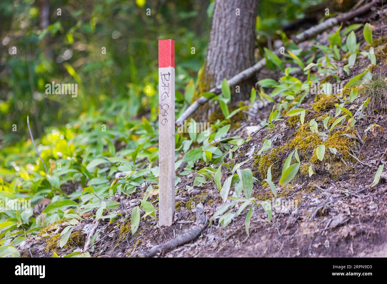 Percorsi di rilevamento, simbolici del consumo di terra attraverso le infrastrutture, e, al contrario, la distruzione dello spazio naturale Foto Stock