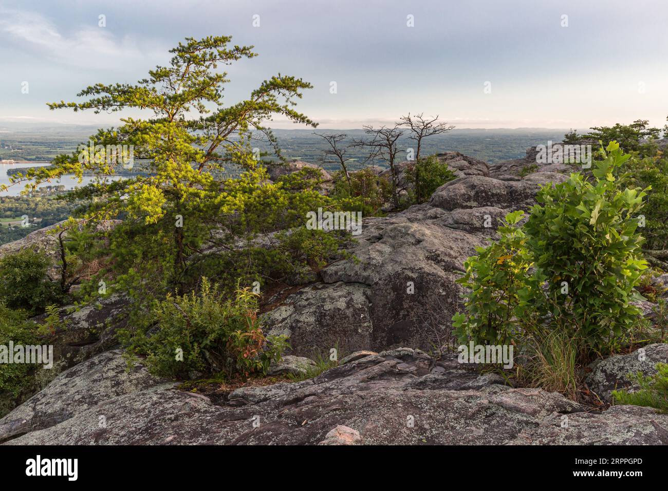 Vista sulla cima della montagna dal parco Cheyene Rock Village vicino a Leesburg, Alabama Foto Stock