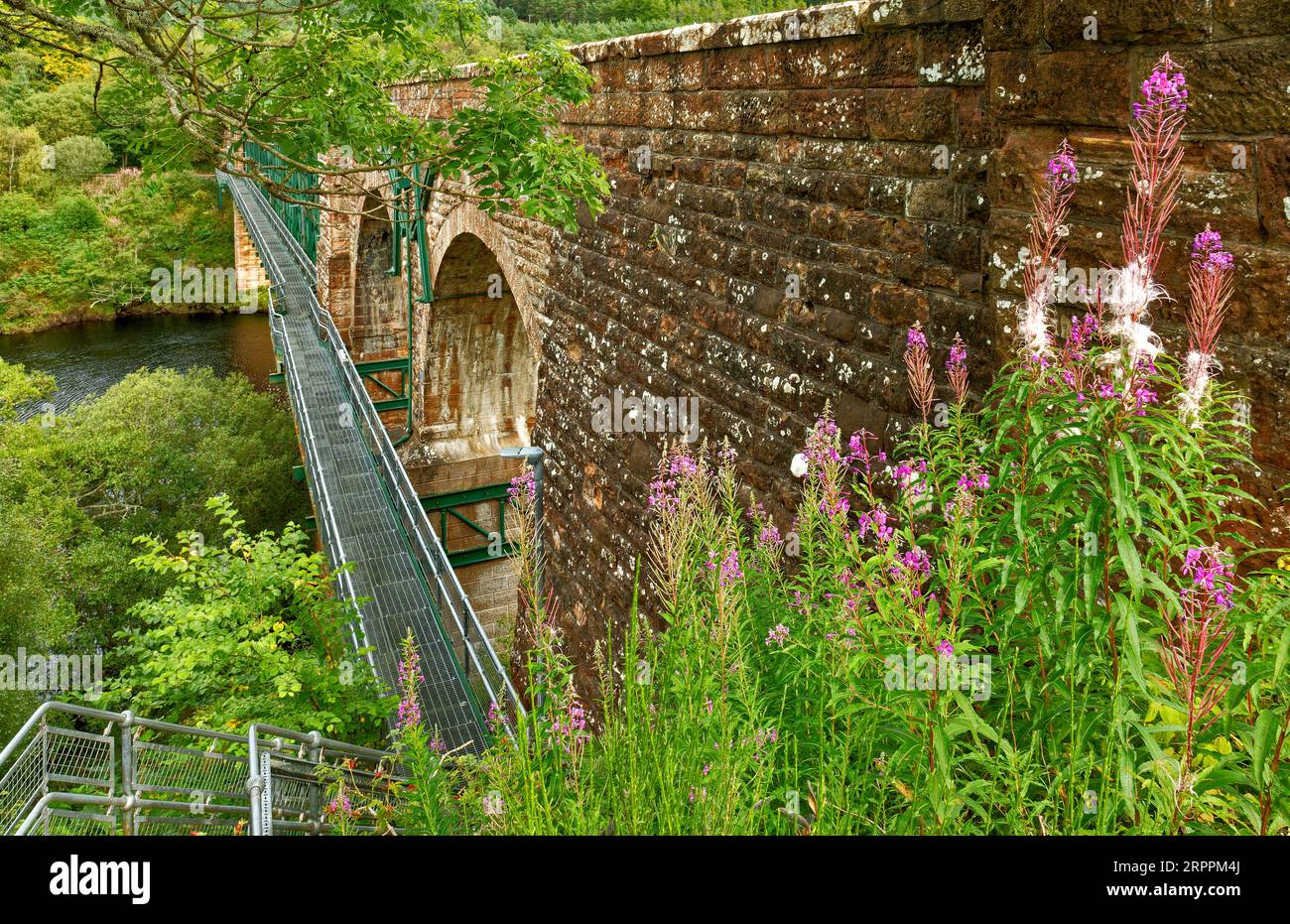 Kyle of Sutherland Scozia la passerella pedonale sul viadotto ferroviario Oykel Invershin in tarda estate Foto Stock