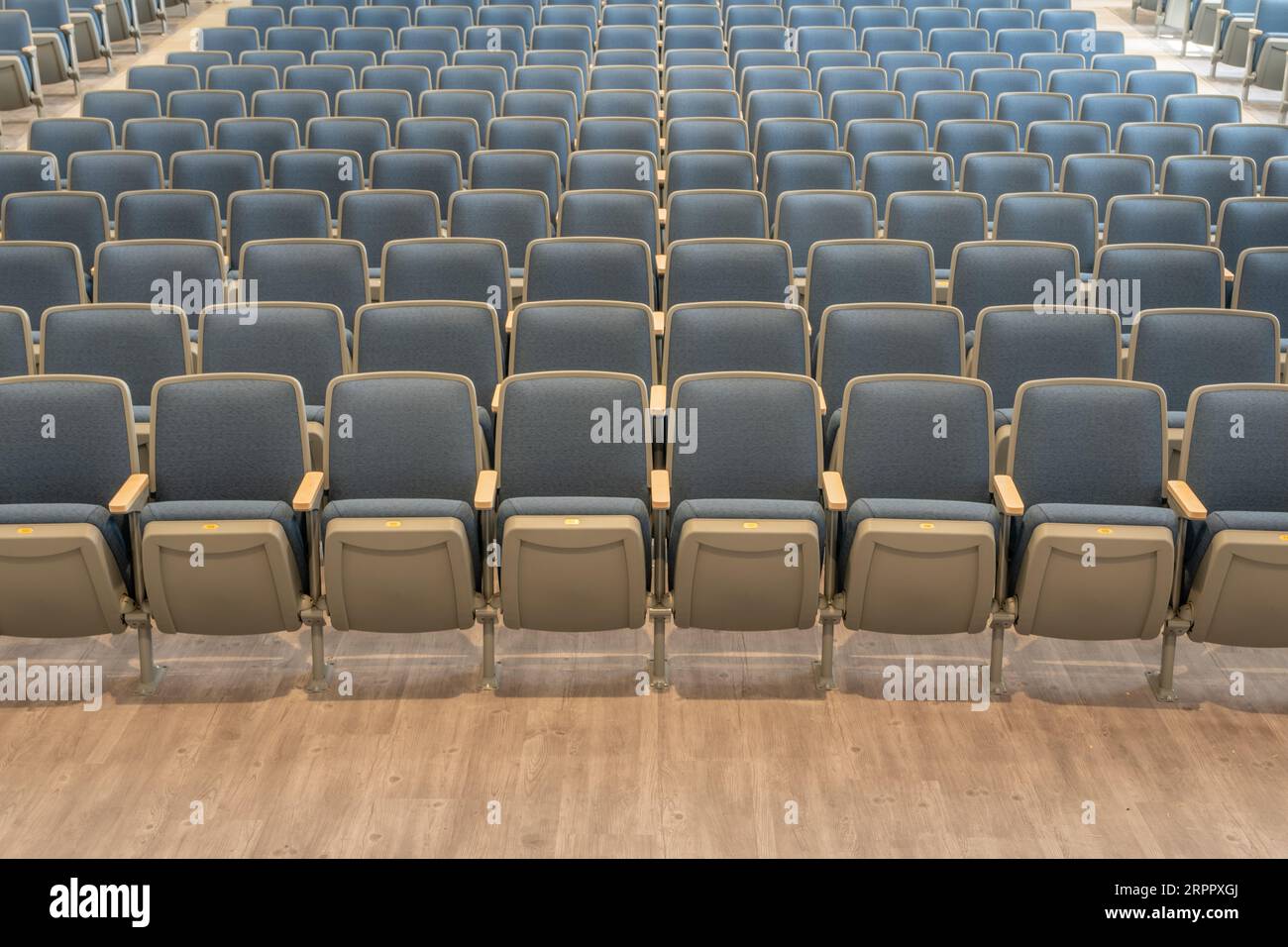 Vuoto grigio e blu teatro, posti a sedere auditorium, sedie. Foto Stock