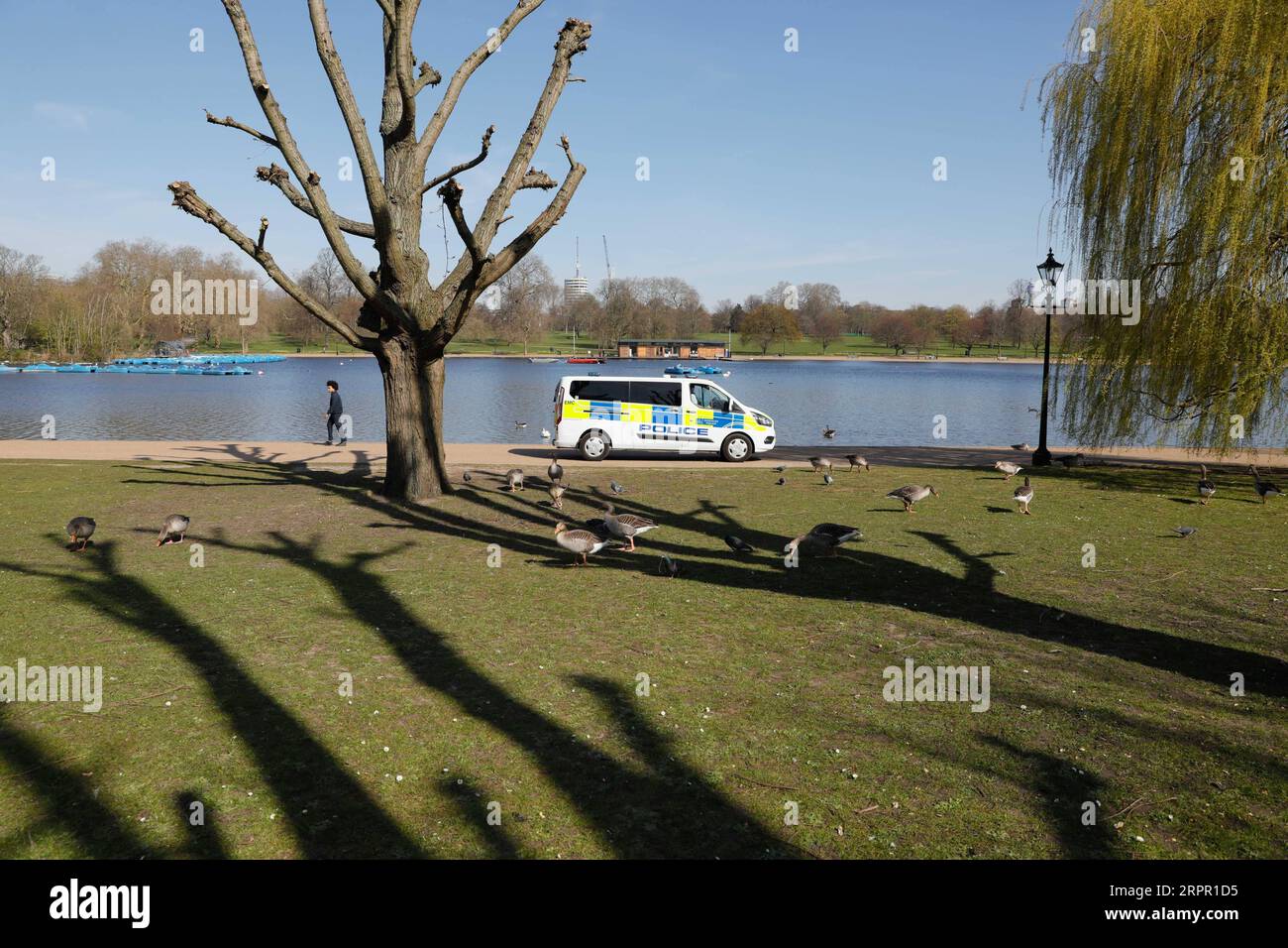 200324 -- LONDRA, 24 marzo 2020 -- i poliziotti guidano un furgone a Hyde Park dopo che il governo britannico ha posto ulteriori restrizioni al movimento a Londra, in Gran Bretagna, il 24 marzo 2020. Il primo ministro britannico Boris Johnson ha annunciato lunedì sera una serie di misure che mirano a limitare i contatti sociali nel Regno Unito, in modo da limitare la diffusione della COVID-19. A partire da lunedì sera, le persone in Gran Bretagna potranno lasciare le loro case solo per scopi molto limitati , compreso lo shopping per le necessità di base, per qualsiasi necessità medica, per una forma di esercizio al giorno, e per viaggiare da e verso il lavoro quando sono necess Foto Stock