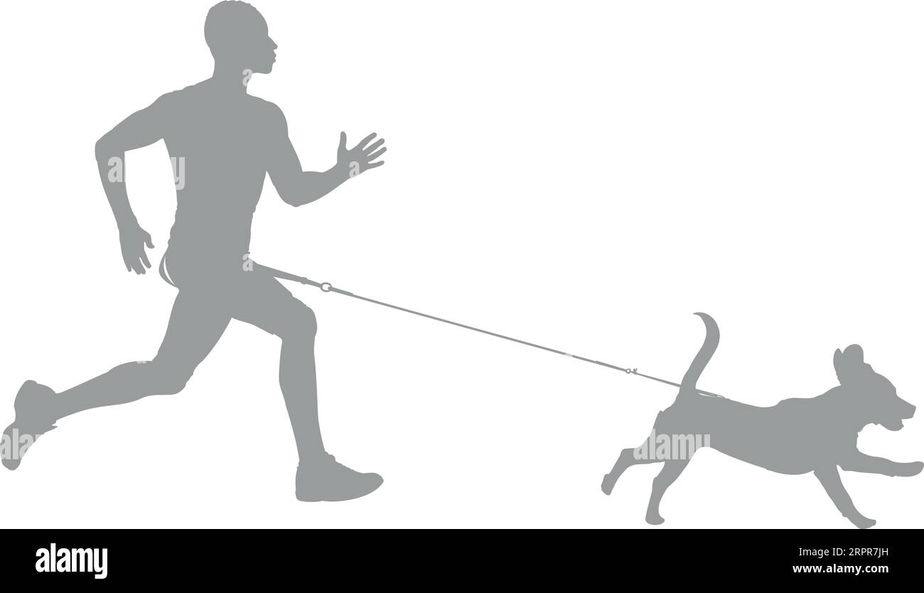 Canicross - giovane uomo che corre con una silhouette Beagle Illustrazione Vettoriale