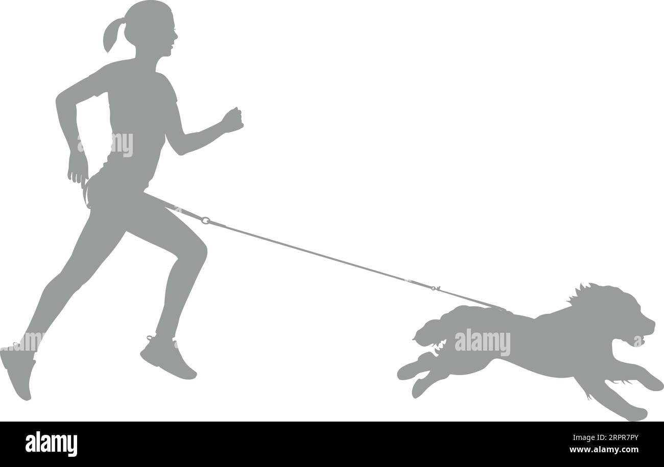 Canicross - giovane donna che corre con una silhouette Springer Spaniel Illustrazione Vettoriale