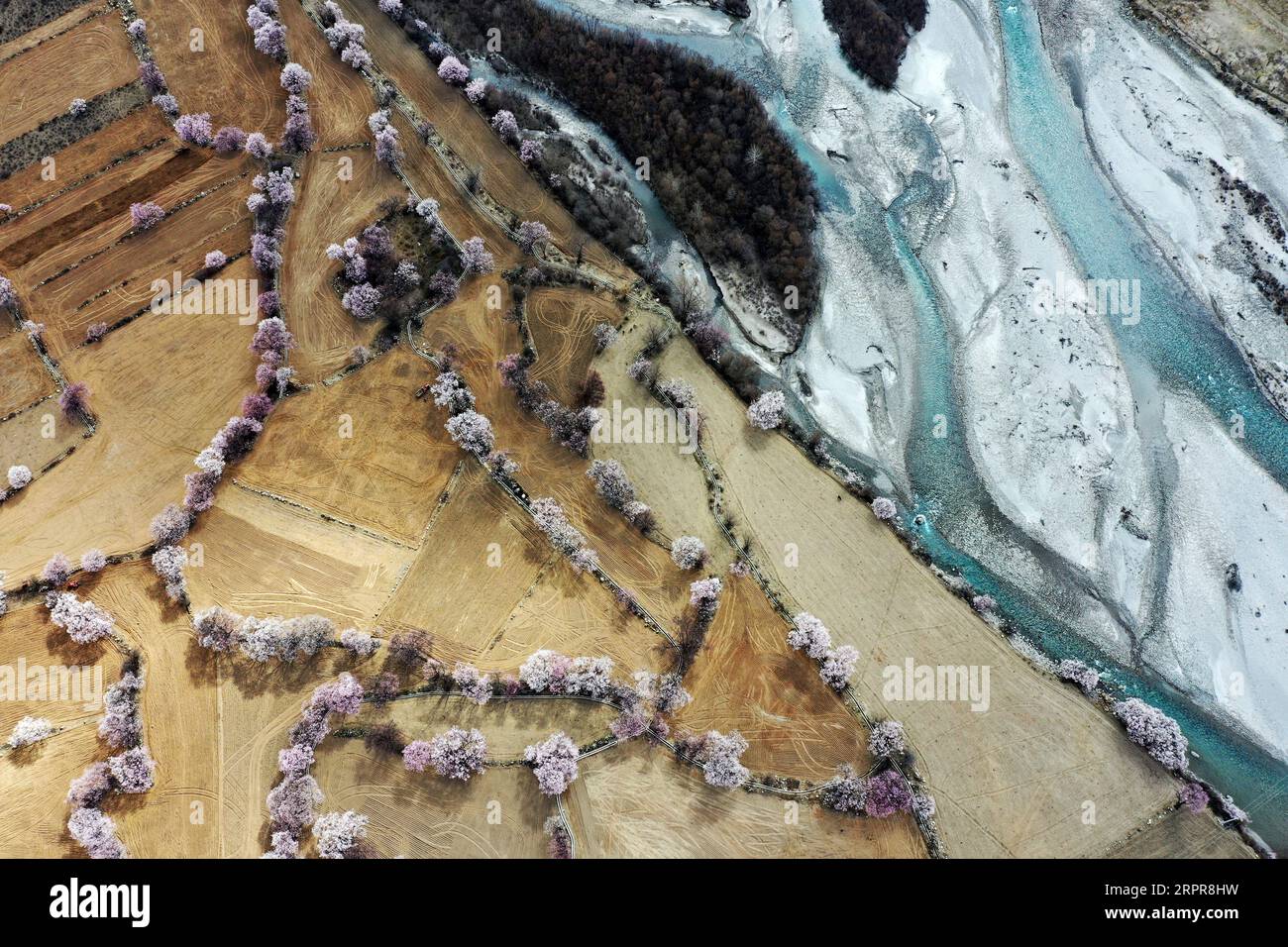 200329 -- NYINGCHI, 29 marzo 2020 -- foto aerea scattata il 26 marzo 2020 mostra fiori di pesca nella contea di Bomi, Nyingchi, nella regione autonoma del Tibet del sud-ovest della Cina. CHINA-TIBET-NYINGCHI-SCENOGRAFIA CN ZhanxYan PUBLICATIONxNOTxINxCHN Foto Stock