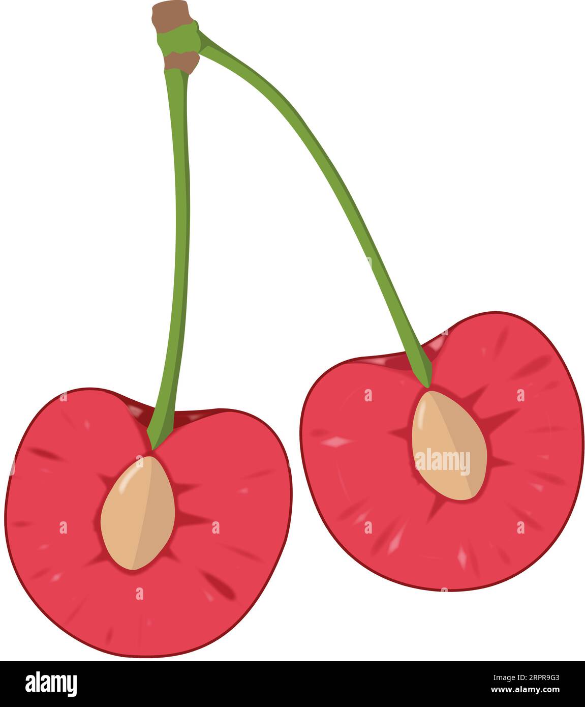 Due ciliegie tagliate a metà Illustrazione Vettoriale