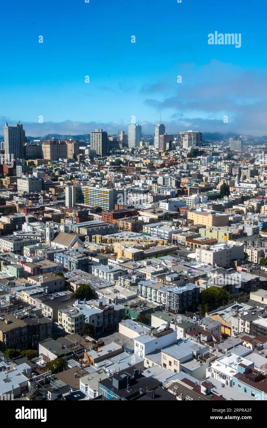 Vista dalla Coit Tower di San Francisco Foto Stock
