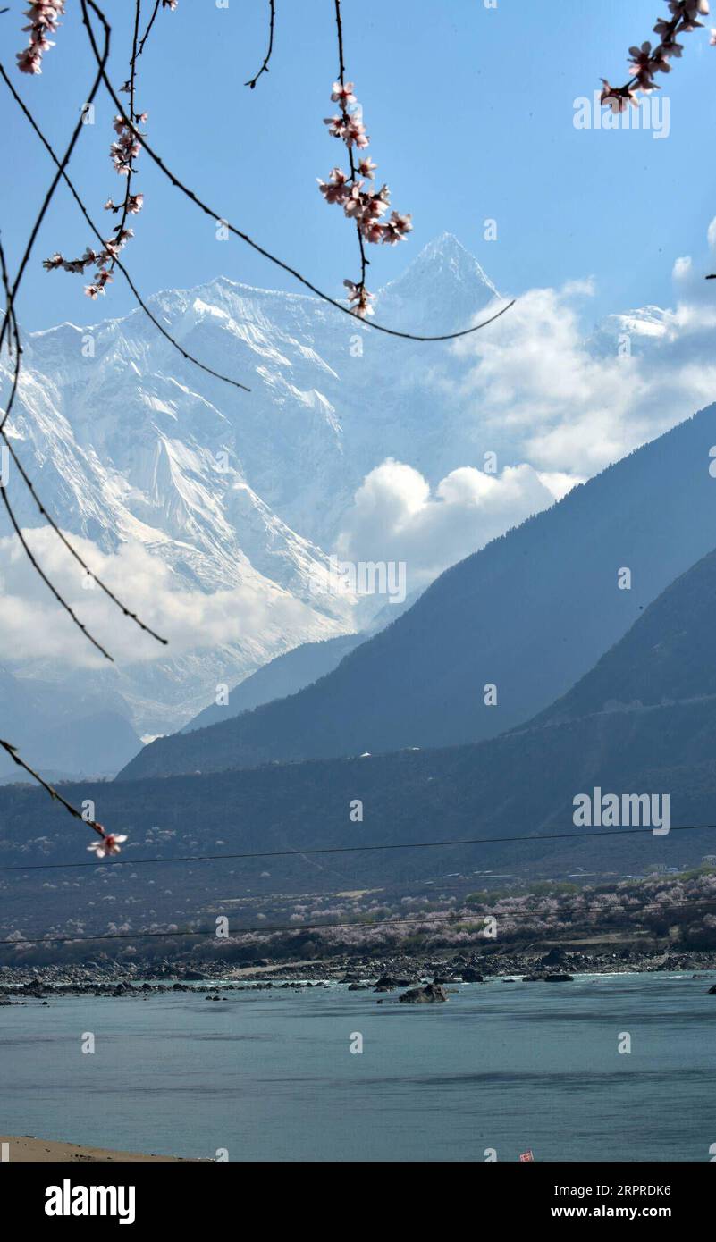 200401 -- LHASA, 1 aprile 2020 -- foto scattata il 1 aprile 2020 mostra i fiori di pesca lungo il Grand Canyon del fiume Yarlung Zangbo, conosciuto come il canyon più profondo del mondo, nella regione autonoma Tibet del sud-ovest della Cina. CHINA-TIBET-YARLUNG ZANGBO RIVER-SPRING-SCENIC CN CHENXSHANGCAI PUBLICATIONXNOTXINXCHN Foto Stock
