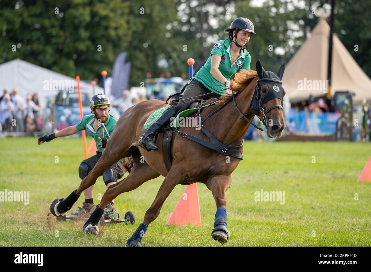 Equitazione. Un evento in cui un cavaliere tira una persona su uno skateboard attorno a un percorso ad ostacoli. Alresford Agricultural Show, Hampshire, Regno Unito Foto Stock