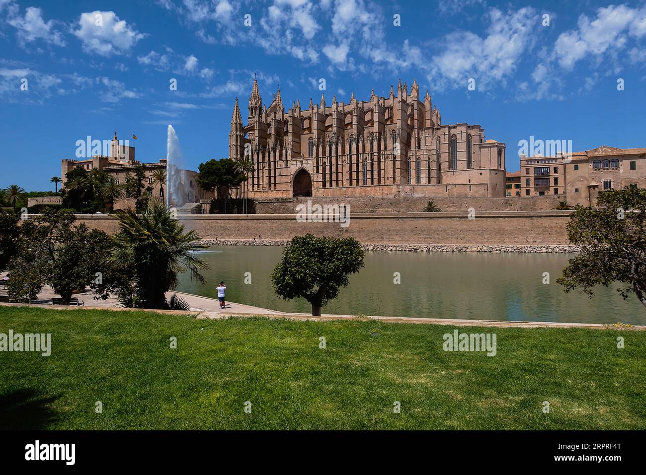 Spagna, Isole Baleari, Maiorca, Palma di Maiorca, città vecchia. La Seu Cattedrale gotica cattolica di Santa Maria con fontana in primo piano. Foto Stock