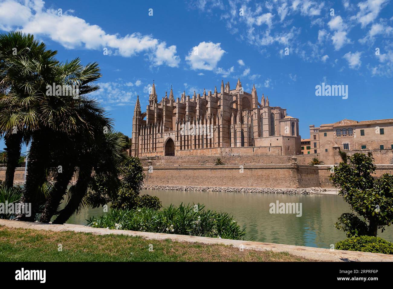 Spagna, Isole Baleari, Maiorca, Palma di Maiorca, città vecchia. Cattedrale gotica cattolica di Santa Maria la Seu. Foto Stock