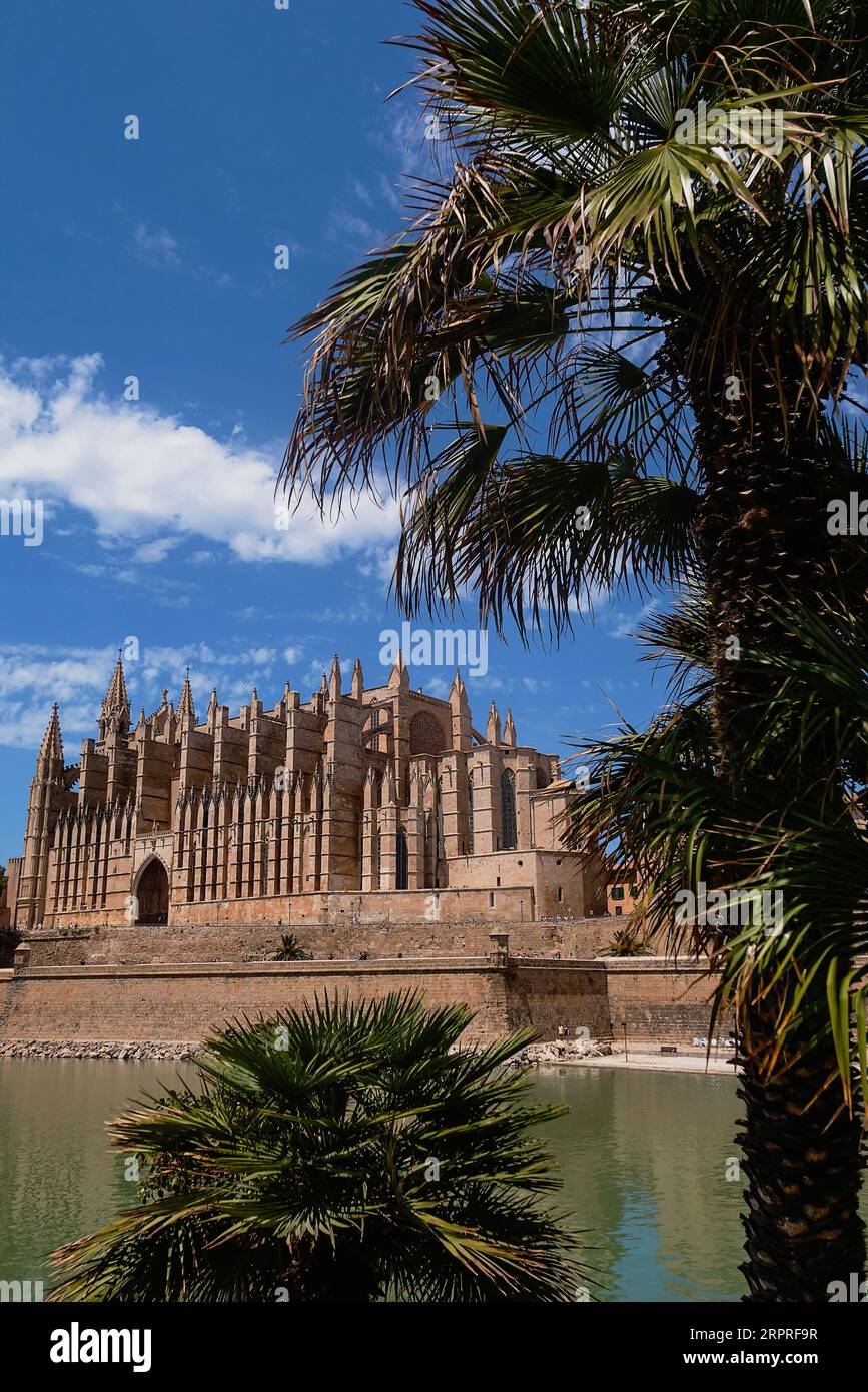 Spagna, Isole Baleari, Maiorca, Palma di Maiorca, città vecchia. Cattedrale gotica cattolica di Santa Maria la Seu. Foto Stock