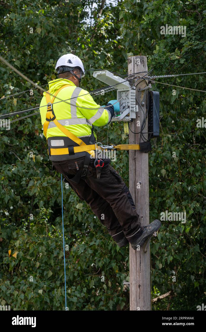 Workman, ingegnere delle telecomunicazioni, lavora in altezza sulla sommità di un palo del telegrafo, Regno Unito Foto Stock