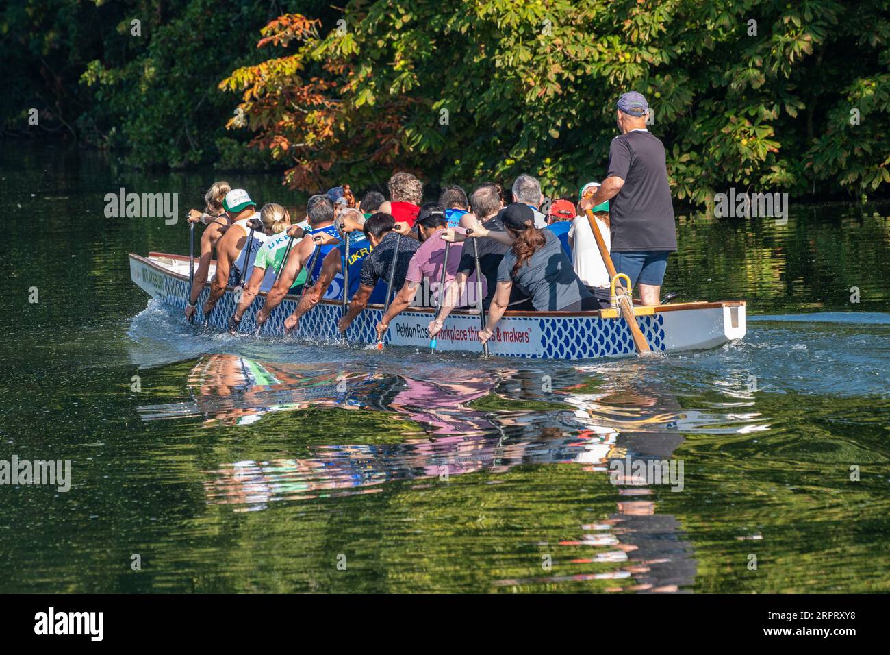 Wraysbury Dragons, Dragon Boat Racing team training sul Tamigi a Runnymede, Surrey, Inghilterra, Regno Unito Foto Stock
