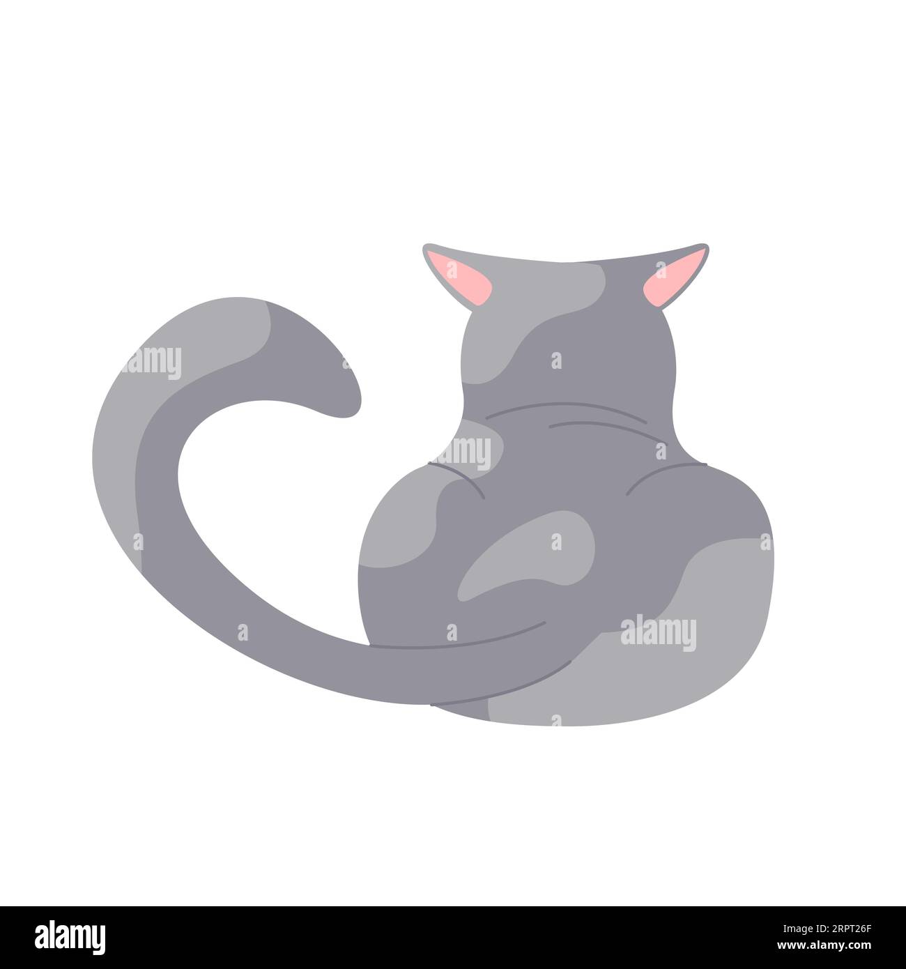 Vista posteriore del gatto grigio con le orecchie posteriori. Posizione gattino giocoso, illustrazione vettoriale di cartoni animati arrabbiati Illustrazione Vettoriale