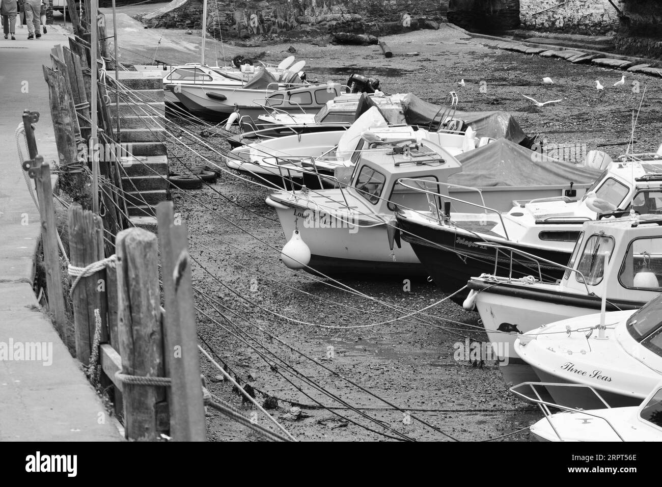 L'immagine in bianco e nero del pittoresco porto di Polperro, con il suo antico patrimonio di contrabbando, è ancora oggi un trafficato porto di pescatori Foto Stock