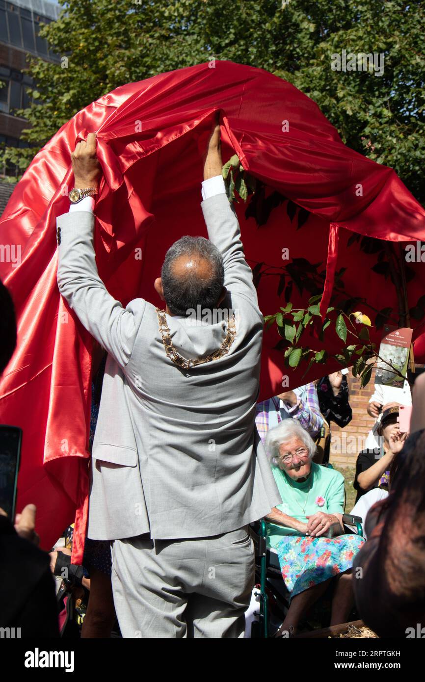 Feltham London, Regno Unito. 5 settembre 2023. In quello che sarebbe stato il 76° compleanno di Freddie, un ciliegio commemorativo sakura fu piantato su Feltham Green. L'albero e la targa furono svelati dalla sorella di Freddie, Kashmira Bulsara, e dal sindaco di Hounslow, Raghwinder Siddhu. Crediti: Julia Gavin/Alamy Live News Foto Stock