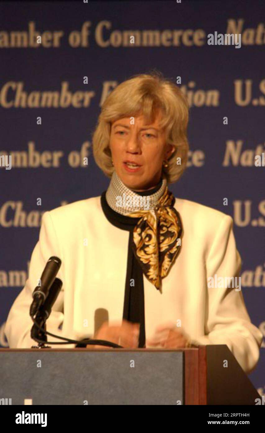 Il segretario Gale Norton interviene in un forum sulle questioni del gas naturale e sul loro impatto sull'economia, ospitato dalla camera di commercio degli Stati Uniti a Washington D.C. il forum, Uno sguardo critico al gas naturale, presentava prospettive del Dipartimento degli interni, del Congresso, del settore aziendale dell'energia, e la più grande comunità imprenditoriale Foto Stock