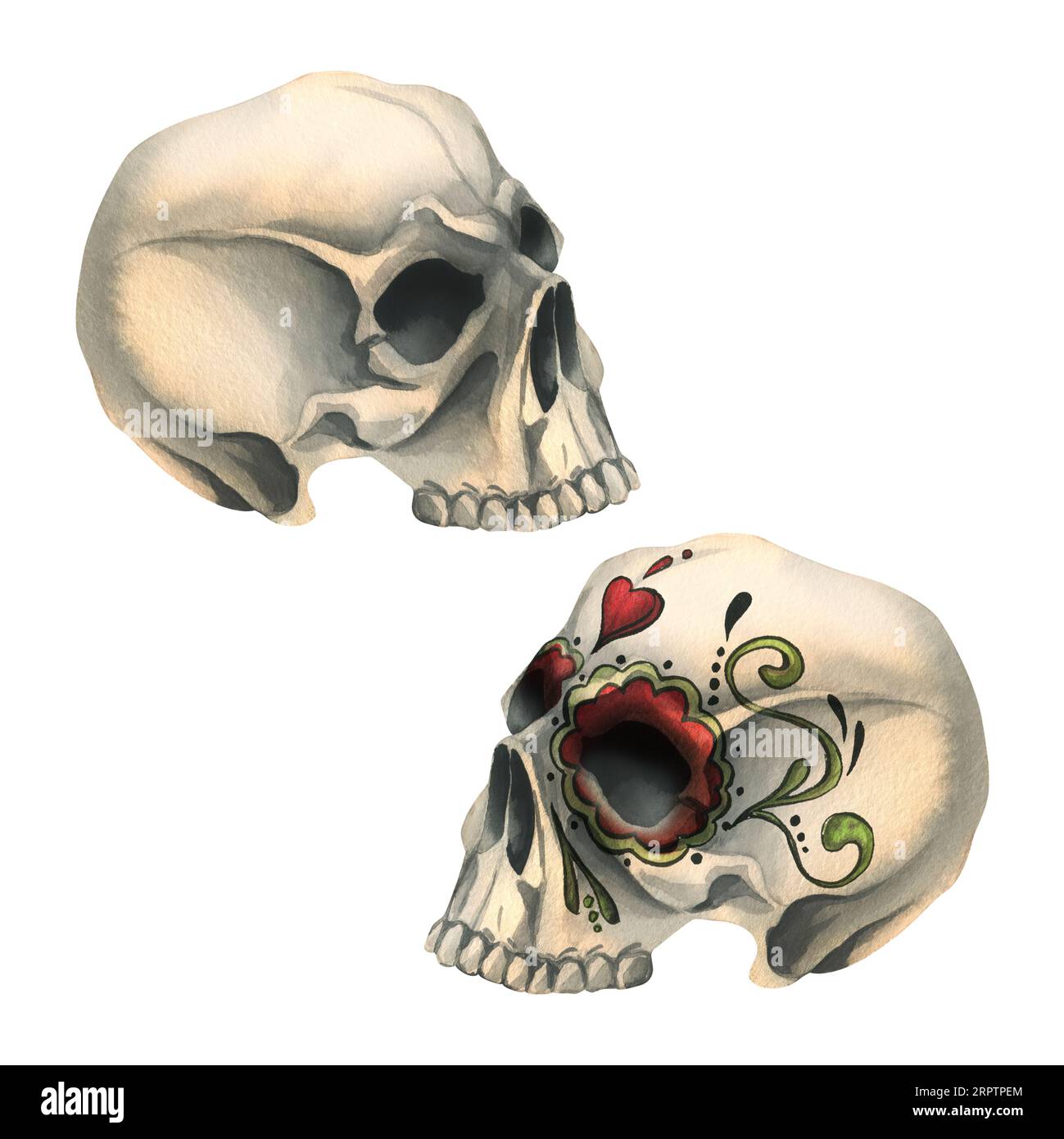 Profili del cranio umano senza mascella inferiore con decorazioni terribili. Illustrazione ad acquerello disegnata a mano per il giorno dei morti, halloween, dia de los Foto Stock