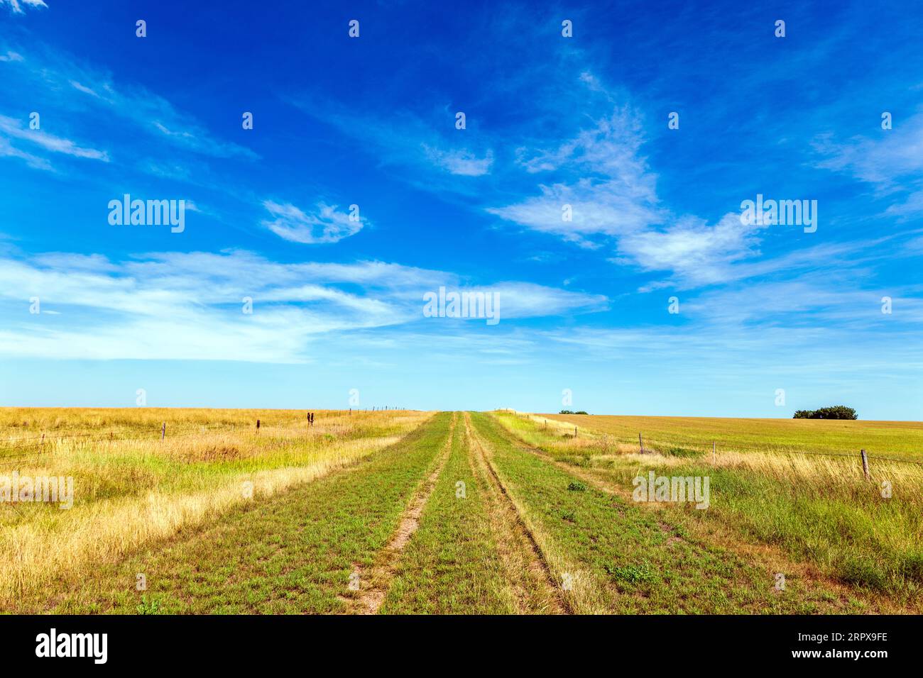 Strada del ranch rurale; Badlands; South Dakota; Stati Uniti Foto Stock