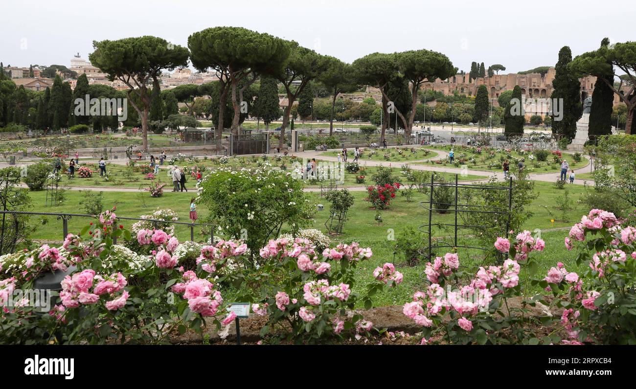 200517 -- ROMA, 17 maggio 2020 -- People visit Rome Rose Garden in Rome, Italy, 16 maggio 2020. Il governo italiano ha detto che permetterà viaggi senza restrizioni tra l'Italia e altri paesi Schengen e all'interno dell'Italia stessa a partire dal 3 giugno. Il decreto è stato approvato dal Consiglio dei ministri durante la sessione del venerdì che si è protratta fino alle prime ore del sabato. Le restrizioni allentate arriveranno più di 12 settimane dopo che l'Italia ha chiuso i suoi confini ai viaggi non essenziali come parte del primo nuovo blocco nazionale europeo per il coronavirus. ITALIA-COVID-19-SCHENGEN - APPROVAZIONE DEI VIAGGI CHENGXTINGT Foto Stock