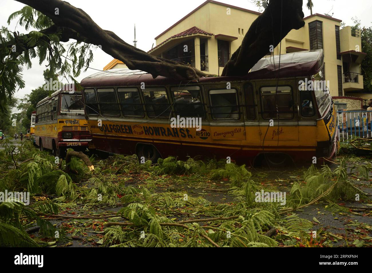 200521 -- CALCUTTA, 21 maggio 2020 -- un albero sradicato cade su un mini bus durante la violenta tempesta ciclonica Amphan a Calcutta, India, il 21 maggio 2020. Il primo ministro indiano dello stato orientale del Bengala Occidentale, Mamata Banerjee, ha dichiarato giovedì che 72 persone sono state uccise nel suo stato a causa della grave tempesta ciclonica Amphan. La tempesta ciclonica che innesca venti ventosi fino a 190 km/h e la pioggia ha colpito il Bengala occidentale e l'Odisha costiera mercoledì sera, appiattendo case improvvisate e sradicando pali e alberi elettrici. Str/Xinhua INDIA-CALCUTTA-TEMPESTA AMPHAN Stringer PUBLICATIONxNOTxINxCHN Foto Stock