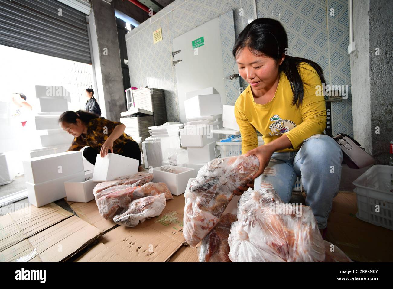 200529 -- TIANZHU, 29 maggio 2020 -- Xiong Ying R spedisce carne di pollo congelata da un magazzino refrigerato nel villaggio di Jinshan nella contea di Tianzhu, nella provincia di Guizhou della Cina sud-occidentale, 28 maggio 2020. Xiong Ying aveva lavorato come tecnico dell'elettronica a Guiyang prima di lasciare il lavoro nel maggio 2018 e rilevare la sua azienda agricola di famiglia. Nel novembre 2019, l'allevamento di polli si è ampliato con il sostegno di un fondo governativo per la lotta alla povertà. Dopo l'epidemia di COVID-19, Xiong ha esplorato modi alternativi per vendere polli coltivati in casa -- il negozio online e il programma di vendita in streaming gestito dal 30enne rur Foto Stock