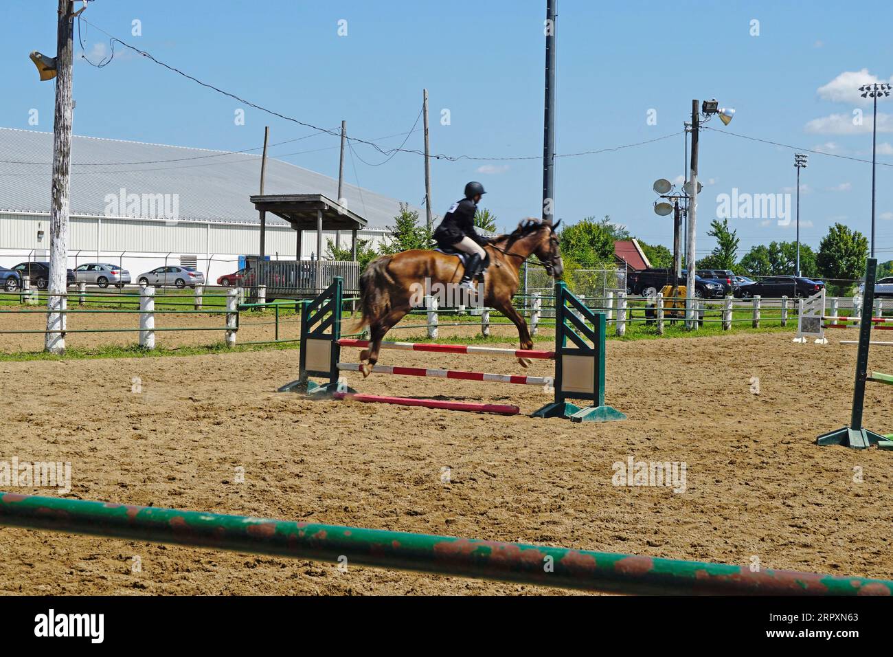 Cavallo e cavaliere saltano una recinzione Foto Stock