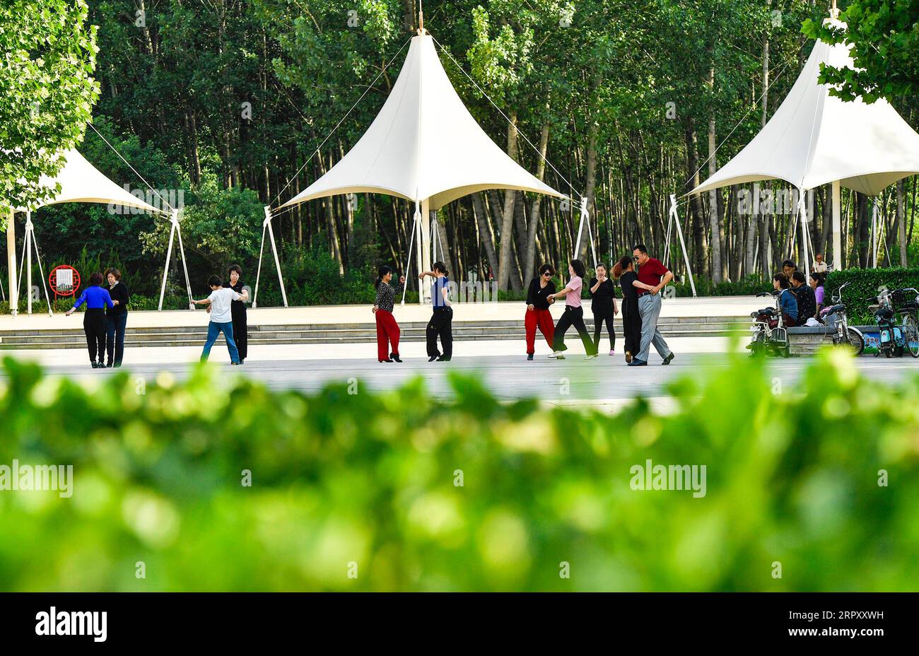 200605 -- WEN AN, 5 giugno 2020 -- i cittadini esercitano in un parco forestale nella contea di Wen An, nella provincia di Hebei nella Cina settentrionale, 5 giugno 2020. Integrando la costruzione urbana con l'imboschimento, Wen An ha fatto degli sforzi per raggiungere l'armonia tra l'uomo e la natura negli ultimi anni. Attualmente la contea vanta un tasso di copertura forestale del 33% e un tasso di area verde urbana del 36,48%. CHINA-HEBEI-WEN AN COUNTY-ECOLOGY CN LIXXIAOGUO PUBLICATIONXNOTXINXCHN Foto Stock