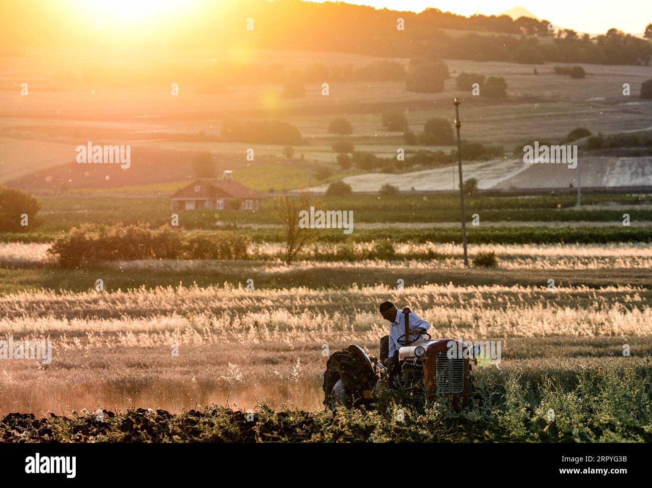 200701 -- PECHINO, 1 luglio 2020 -- Un contadino ara un campo in un villaggio vicino a Kumanovo, Macedonia del Nord, il 29 giugno 2020. Un'ondata di calore ha colpito la Macedonia del Nord lunedì e la temperatura ha raggiunto i 38 gradi Celsius. Foto di /Xinhua XINHUA FOTO DEL GIORNO TomislavxGeorgiev PUBLICATIONxNOTxINxCHN Foto Stock