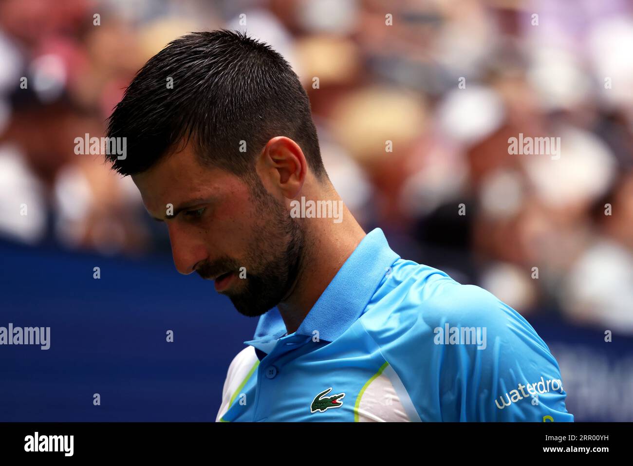 New York, Stati Uniti. 5 settembre 2023. Novak Djokovic durante il suo match dei quarti di finale contro Taylor Frtiz degli Stati Uniti agli US Open. Fotografia di Credit: Adam Stoltman/Alamy Live News Foto Stock