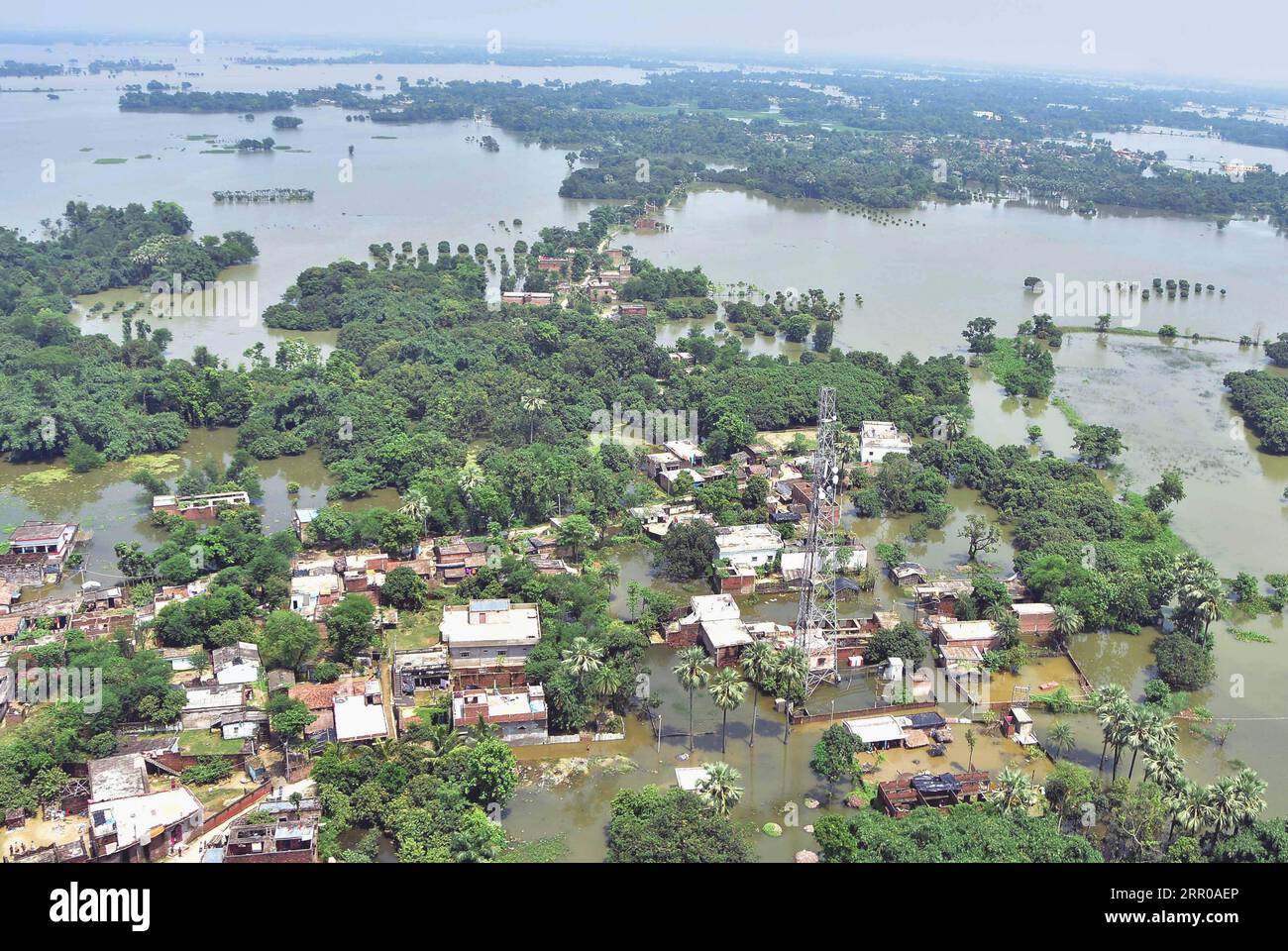 200806 -- BIHAR, 6 agosto 2020 Xinhua -- foto scattata il 5 agosto 2020 mostra il giacimento di acqua nel distretto Darbhanga di Bihar, India. Str/Xinhua INDIA-BIHAR-FLOOD PUBLICATIONxNOTxINxCHN Foto Stock