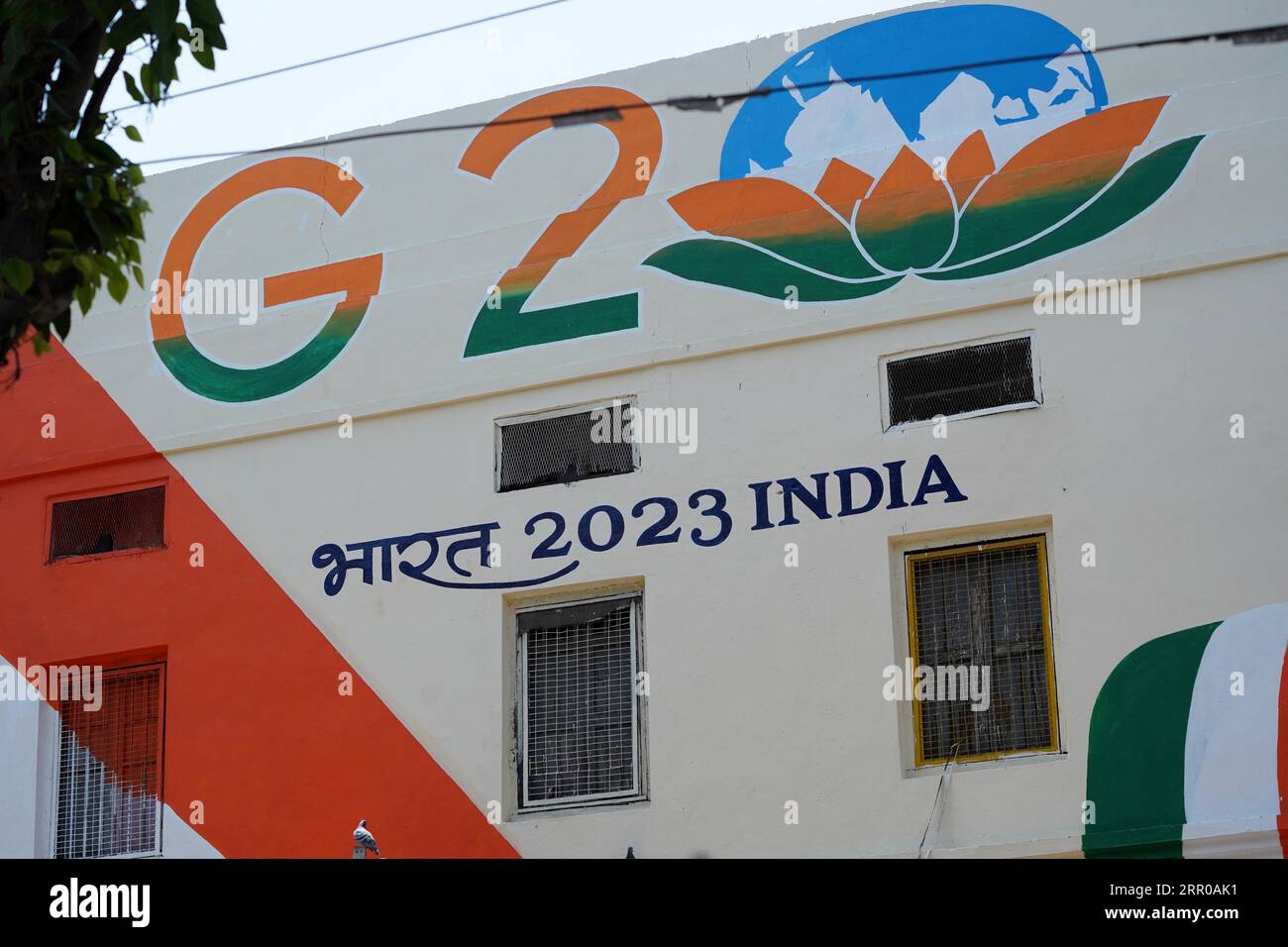 Nuova Delhi, India. 5 settembre 2023. Vertice del G20 India che si aggira lungo una strada davanti al vertice del G20 di due giorni a nuova Delhi, India, il 5 settembre 2023. Foto di ABACAPRESS.COM Credit: Abaca Press/Alamy Live News Foto Stock