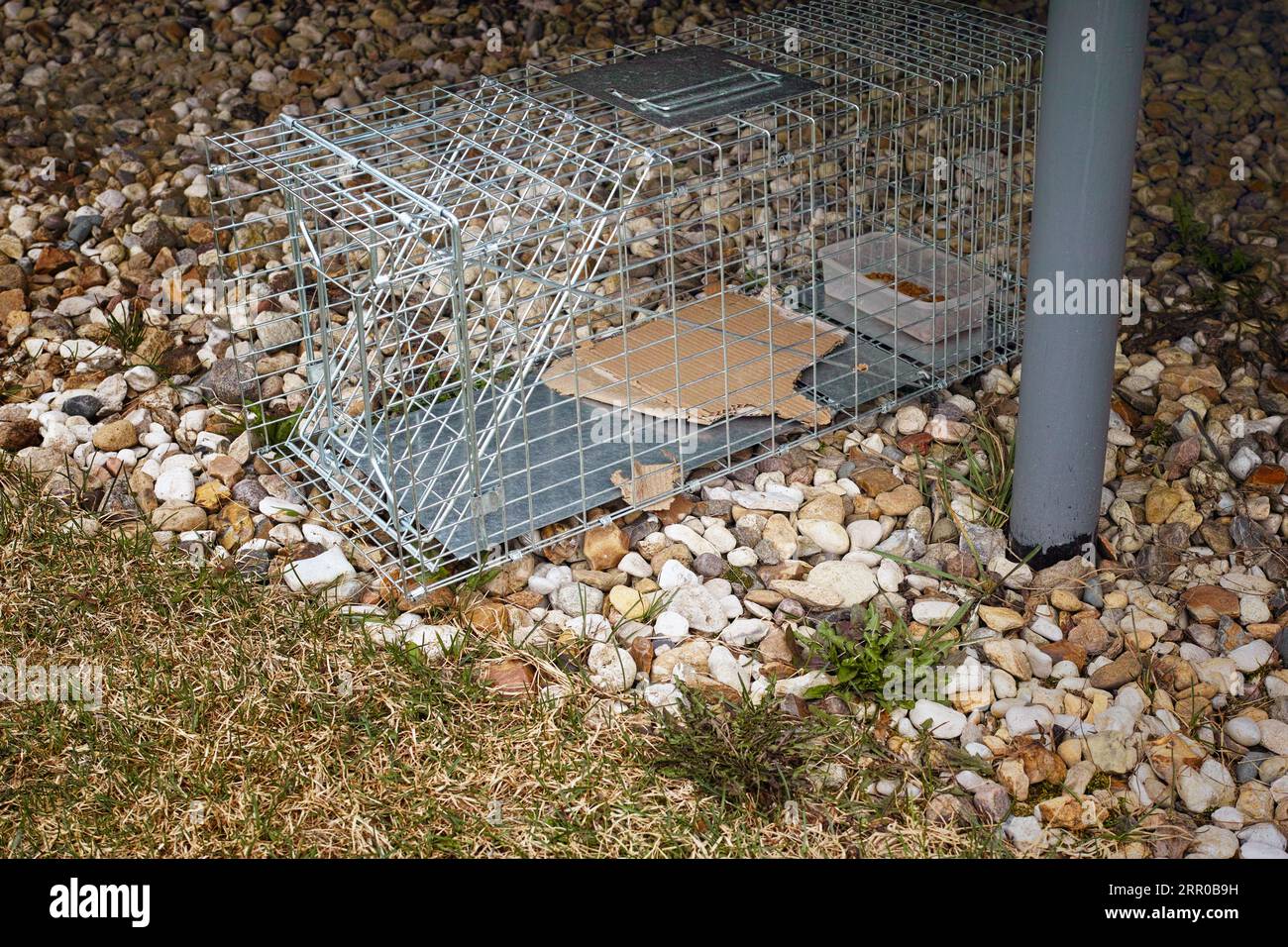 un gatto o altri animali trappola metallica sotto la veranda, tiro all'aperto Foto Stock