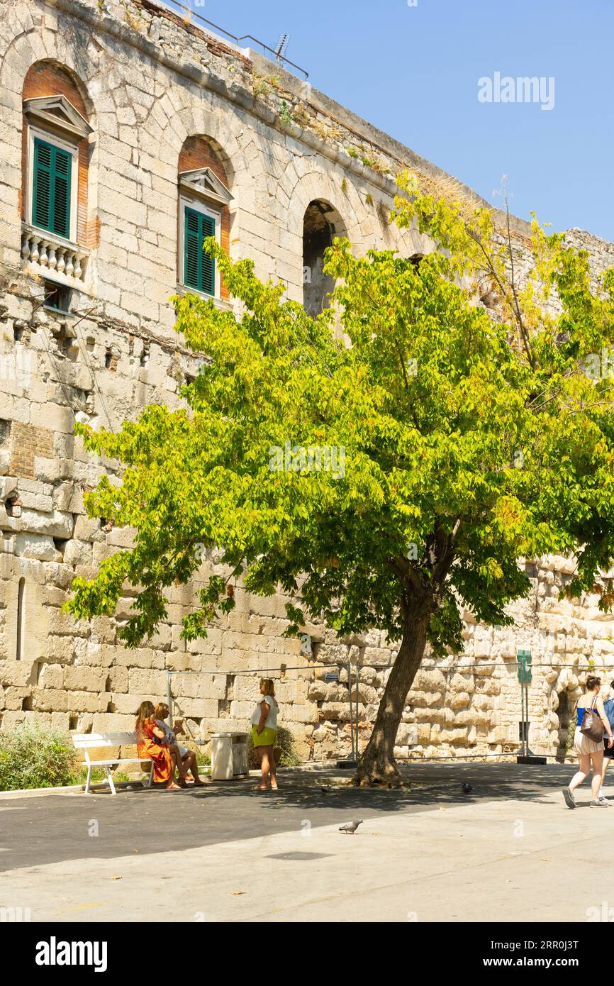 Croazia Porto della città di Spalato città vecchia Palazzo di Diocleziano resti della porta Orientale porta d'Argento muro esterno della città costruito albero del IV secolo dettaglio persone Foto Stock