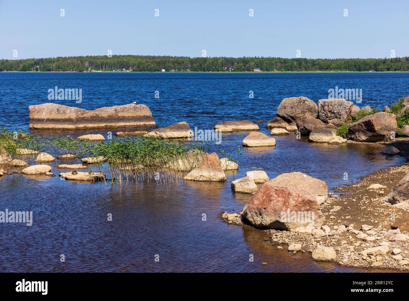 Le nevi di granito si trovano sulla costa di un lago. Parco Monrepos foto di paesaggio estivo scattata in una giornata di sole Foto Stock