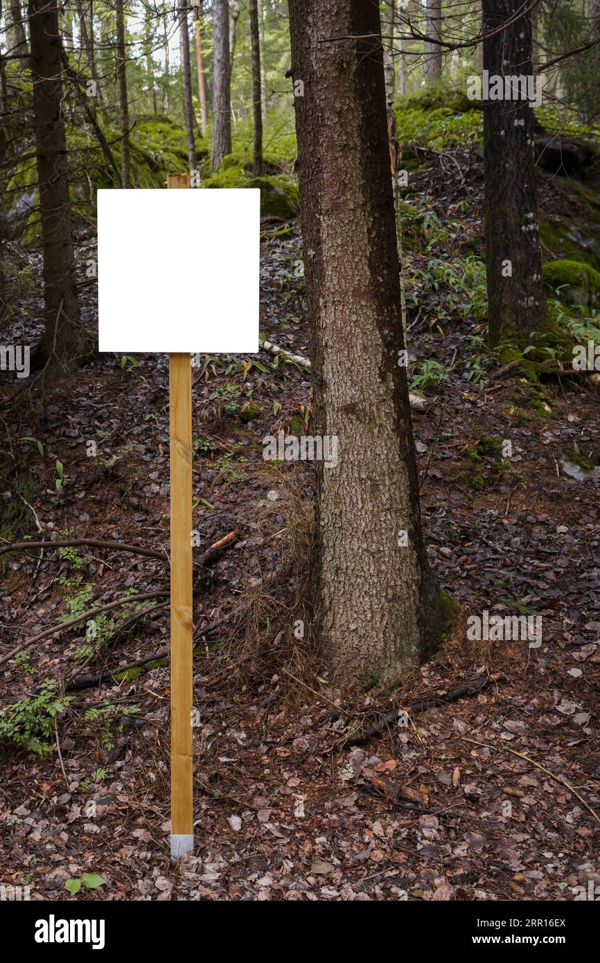 Cartello bianco vuoto in una pineta Foto Stock