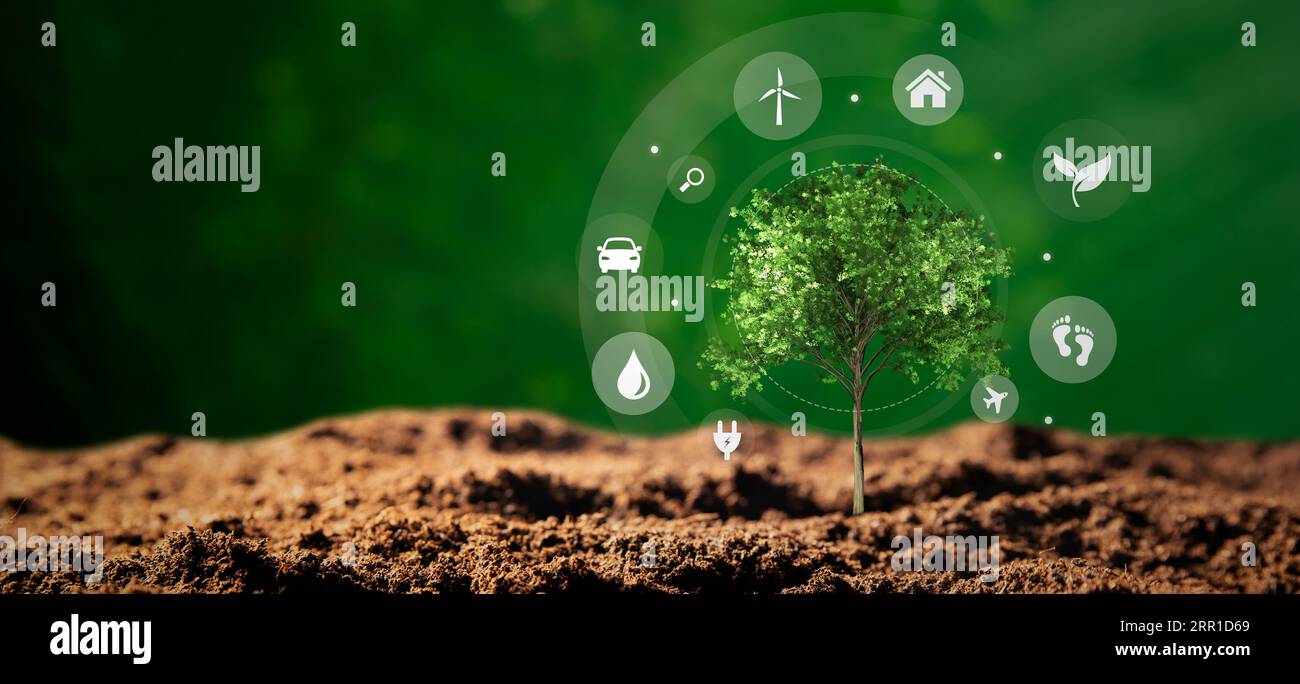 Fonti energetiche sostenibili, concetto di ecologia con albero in crescita Foto Stock