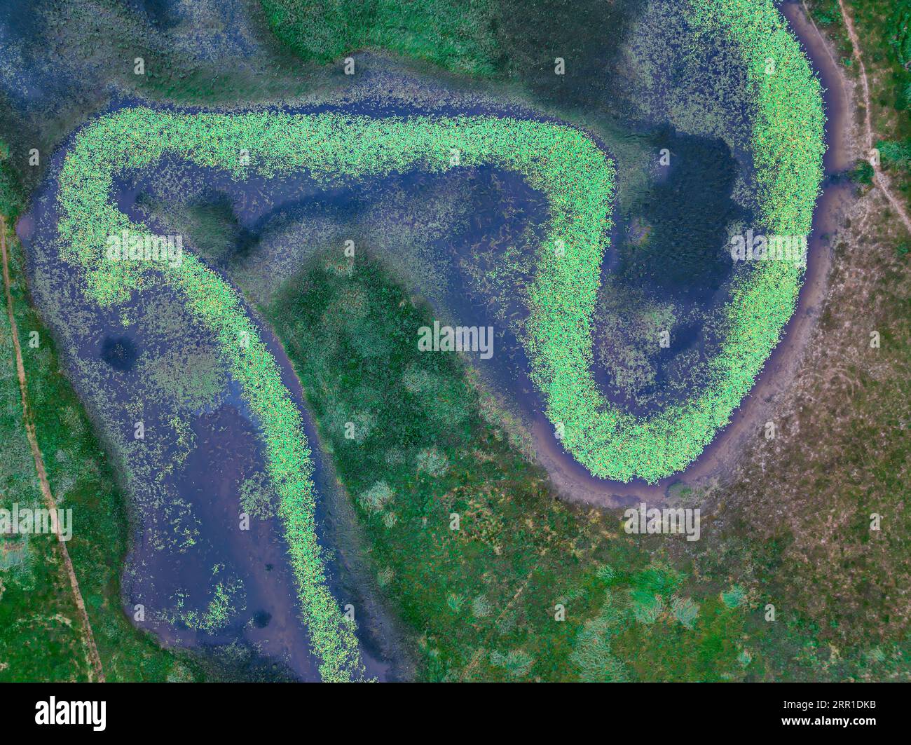 Lago Dry Cerknica Foto Stock