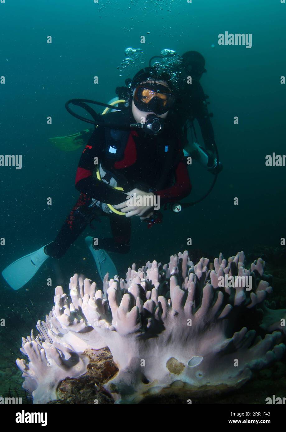 200916 -- SANYA, 16 settembre 2020 -- Fang Jianze Dives near Wuzhizhou Island in Southern China S Hainan province, 30 agosto 2020. Il 22enne Fang Jianze è nato con la distrofia muscolare EDMD Emery-Dreifuss, una rara malattia muscolare che lentamente causa debolezza alle spalle, alle braccia e ai vitelli. La vita confinata su una sedia a rotelle non è quello che vuole. Vuole oltrepassare i confini e arrivare lontano. Ha provato a paracadutismo lo scorso giugno e ha ottenuto una certificazione handicappata Scuba Association questo agosto. Ha realizzato il suo sogno di immersione sull'isola di Wuzhizhou, un resort subacqueo top in Cina e ha stabilito un nuovo personale migliore, Foto Stock